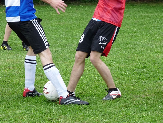 不仅是一个 不仅是一个