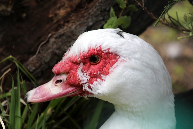 他们在限制 他们在限制