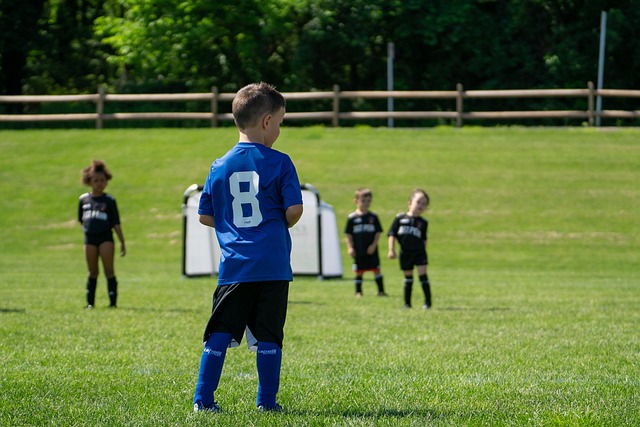 这场胜利不 这场胜利不