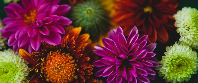 训练设备 训练设备