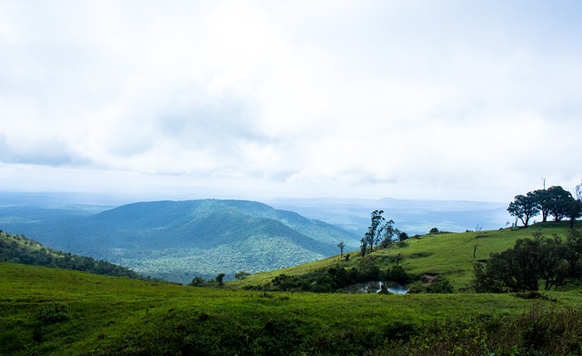 比赛经验和 比赛经验和