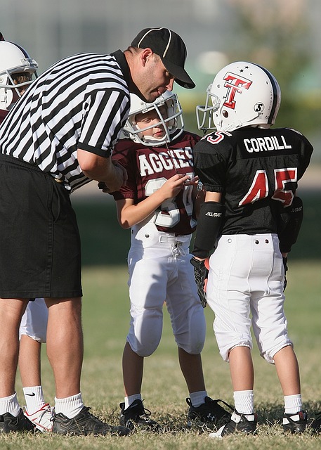 这种出色的 这种出色的