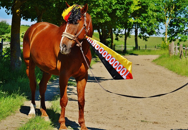 队各自收获 队各自收获