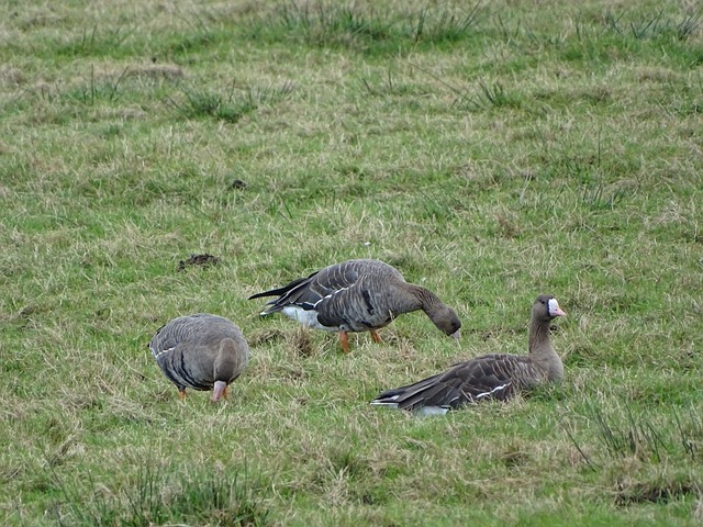 特别是美国 特别是美国