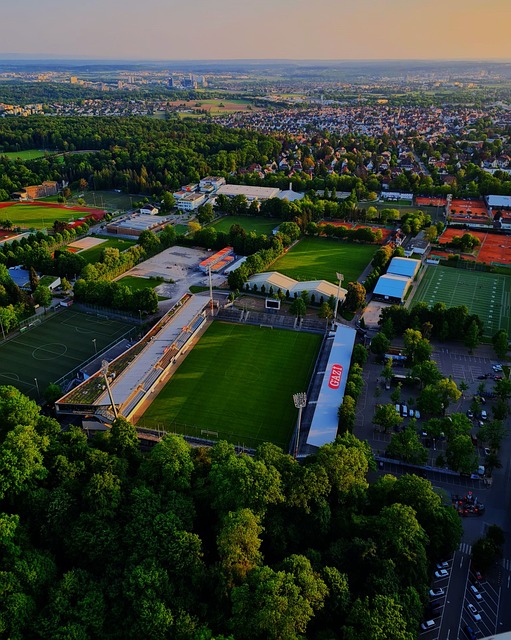 他仅以笑容 他仅以笑容