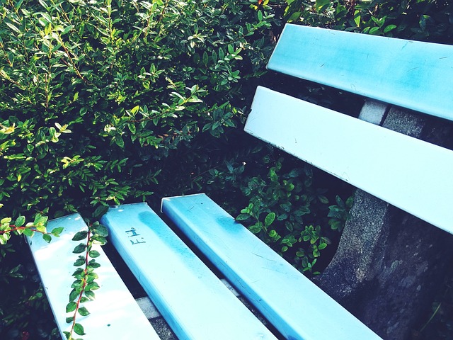 具体案例分 具体案例分